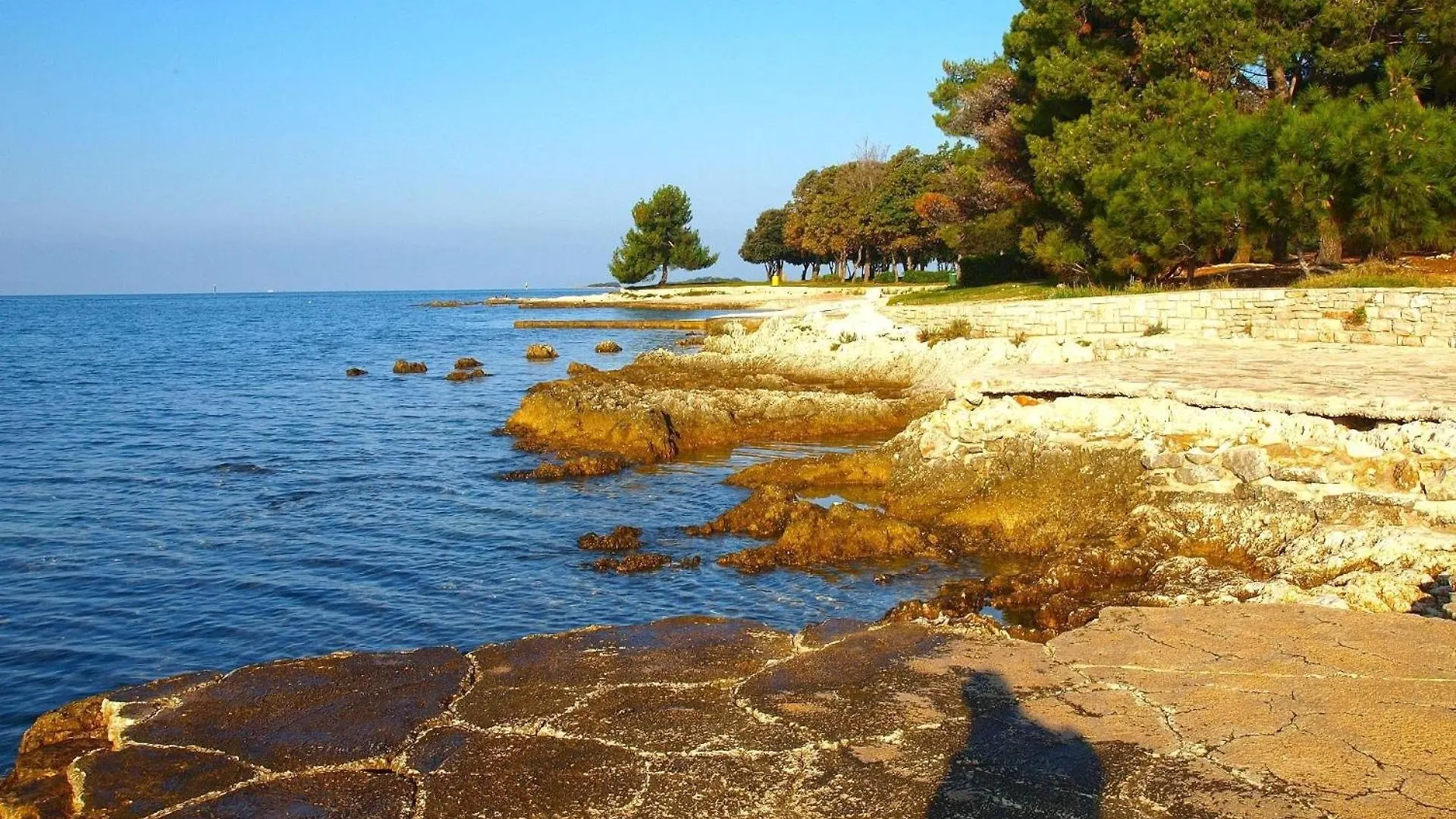 Apartment Ferienwohnung Fuer 2 Personen Ca 65 Qm In Cervar-Porat, Istrien Istrische Riviera Porec